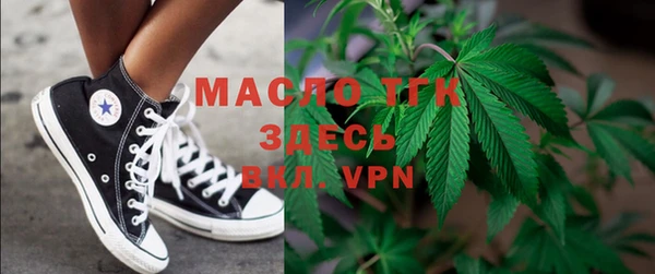 индика Абинск