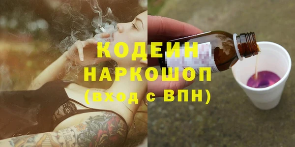 индика Абинск