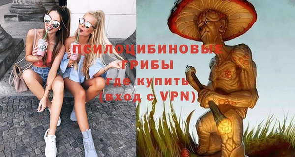 индика Абинск