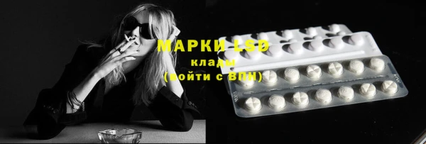 стафф Магас