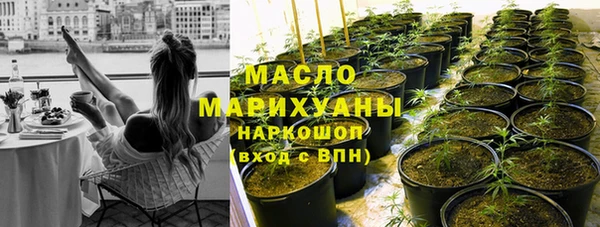 индика Абинск