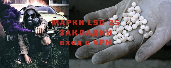индика Абинск
