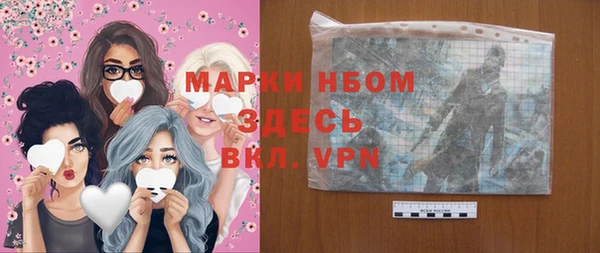 индика Абинск